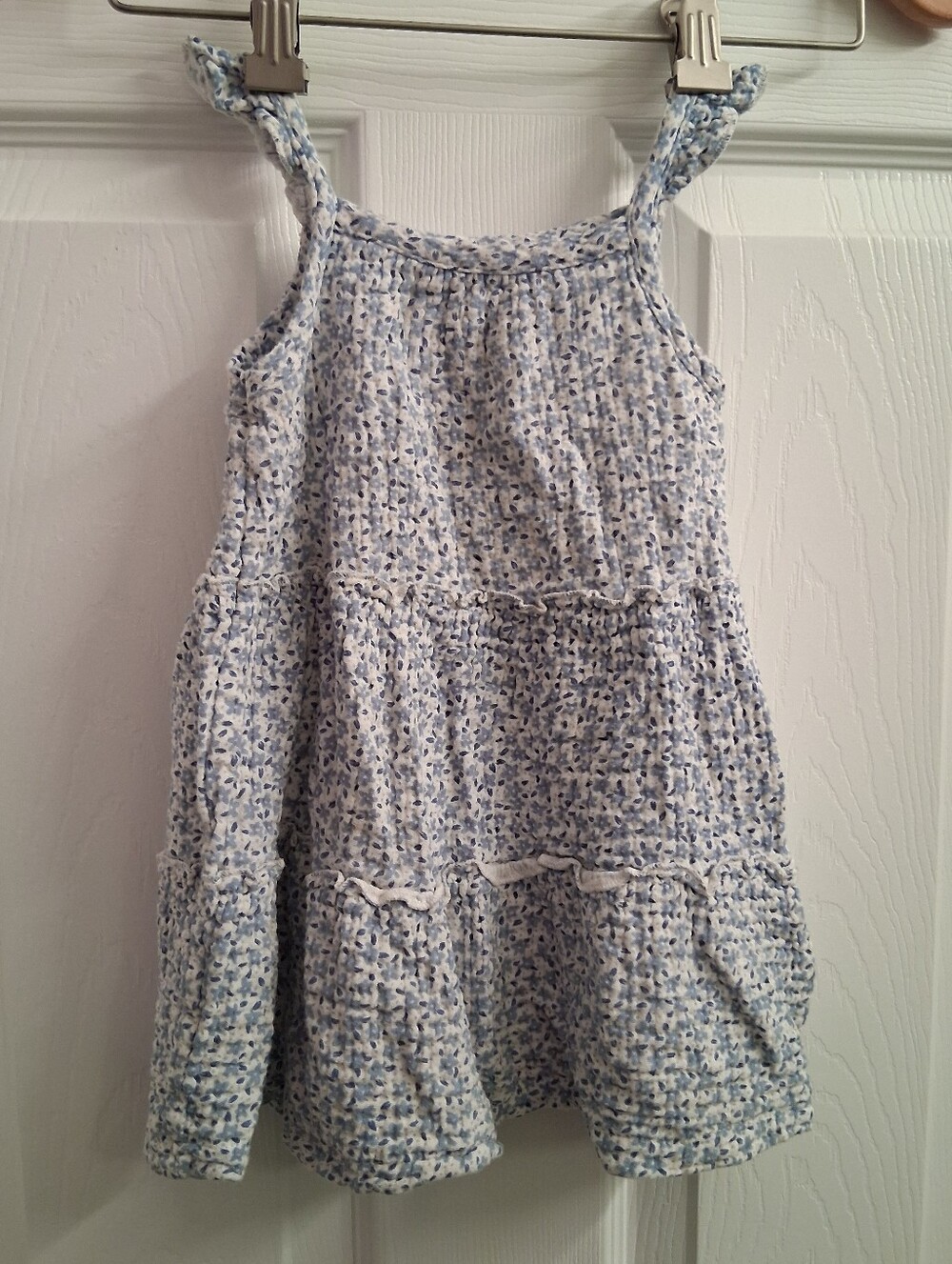 Rabbit + Bear Organic Dress 2T Gauzy Floral